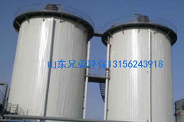 IC厭氧反應器 IC厭氧反應器
